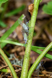 Similar image 22188494