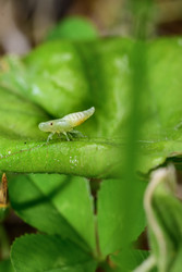 Similar image 22181536