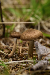 Similar image 22181540