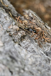 Similar image 22188495