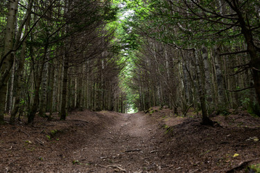 Similar image 22188496