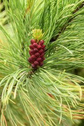 Similar image 22186551