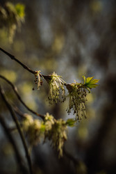 Similar image 22186557