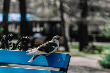 Similar image 22186558