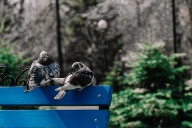 Similar image 22186559