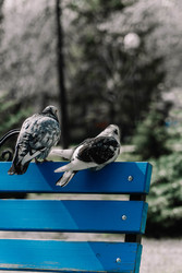 Similar image 22186560