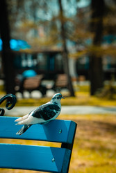 Similar image 22186561