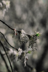 Similar image 22186562