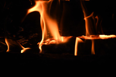 Similar image 22187093