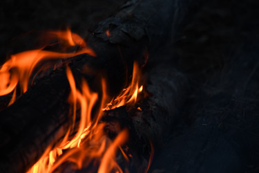 Similar image 22187094