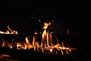 Similar image 22187099