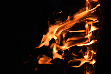 Similar image 22186089