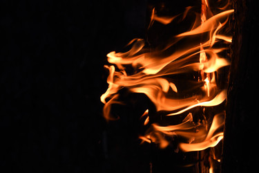 Similar image 22186092