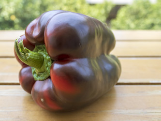 Similar image 22181570