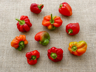 Similar image 22181581