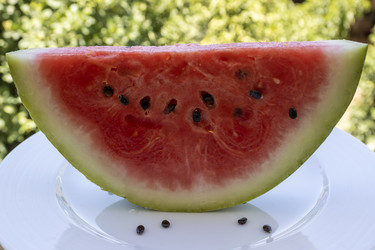 Similar image 22181587