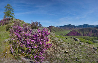 Similar image 22188498