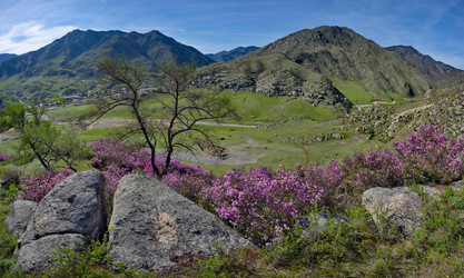 Similar image 22188500