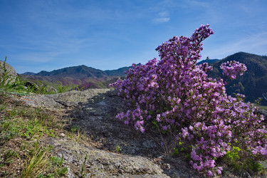 Similar image 22188501