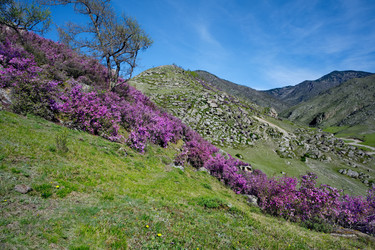 Similar image 22188502