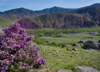 Similar image 22188503