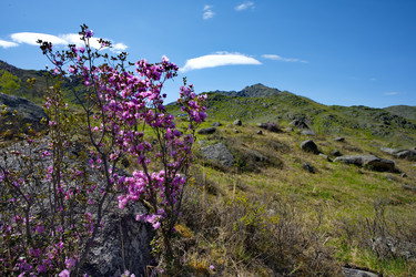 Similar image 22188504