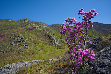 Similar image 22188505