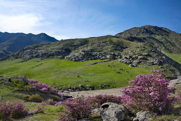 Similar image 22188506