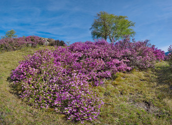 Similar image 22188507