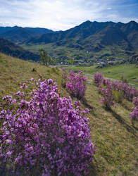 Similar image 22188508