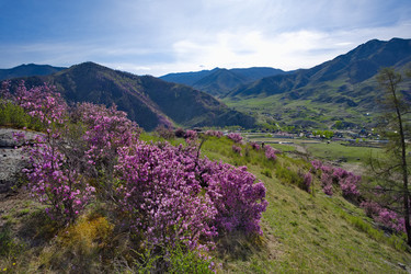 Similar image 22188509