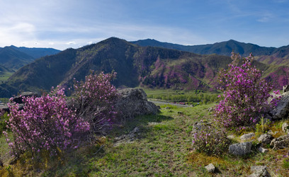 Similar image 22188510