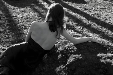 Similar image 22186570