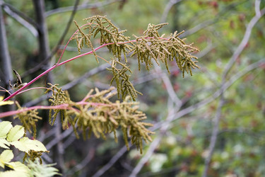 Similar image 22186816