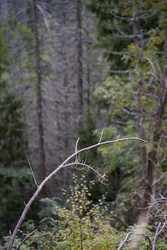 Similar image 22186818