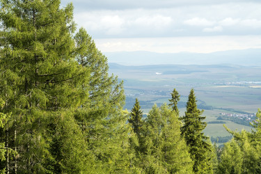 Similar image 22186830