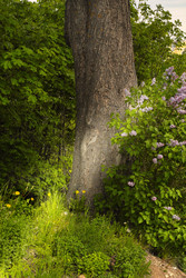 Similar image 22186832