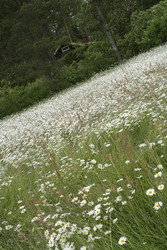 Similar image 22187980