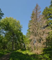 Similar image 22187984