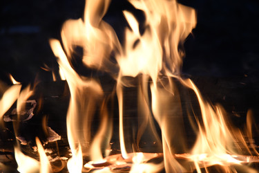 Similar image 22186109