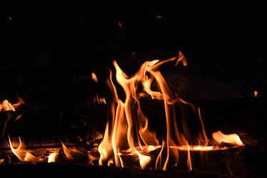 Similar image 22186135