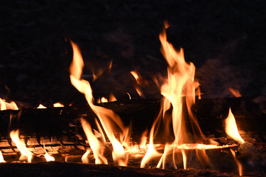 Similar image 22186137