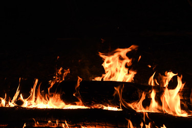 Similar image 22186140