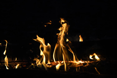 Similar image 22186141