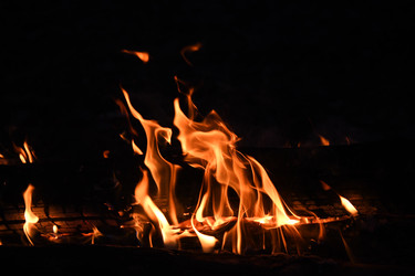 Similar image 22186143