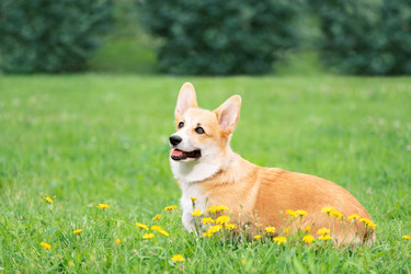 Similar image 22181588