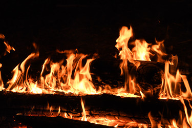 Similar image 22186166