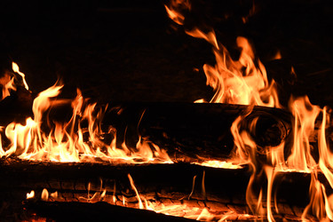 Similar image 22186333