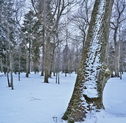 Similar image 22186835