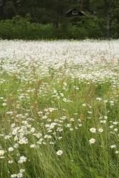 Similar image 22186840